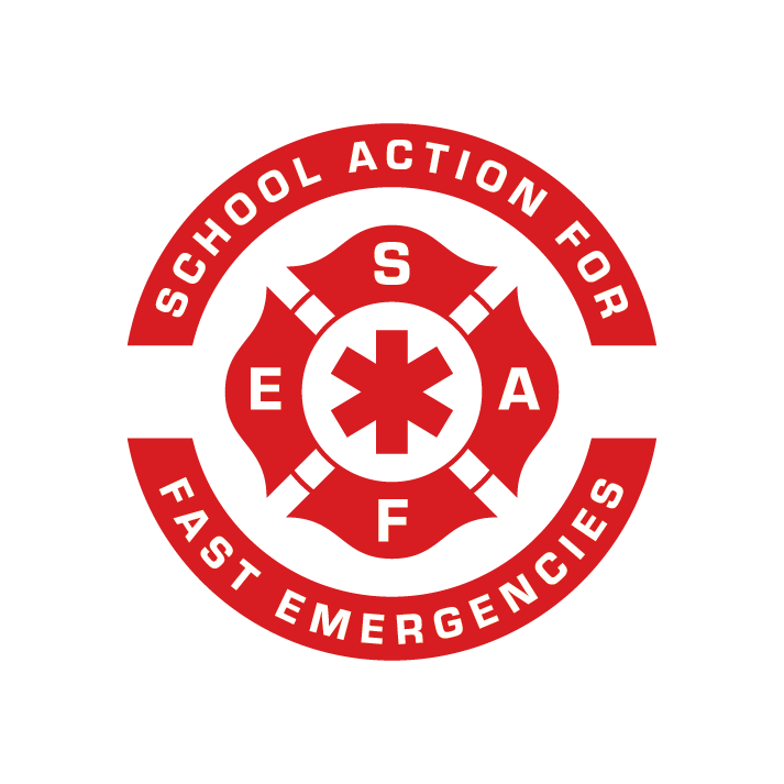 SAFE logo